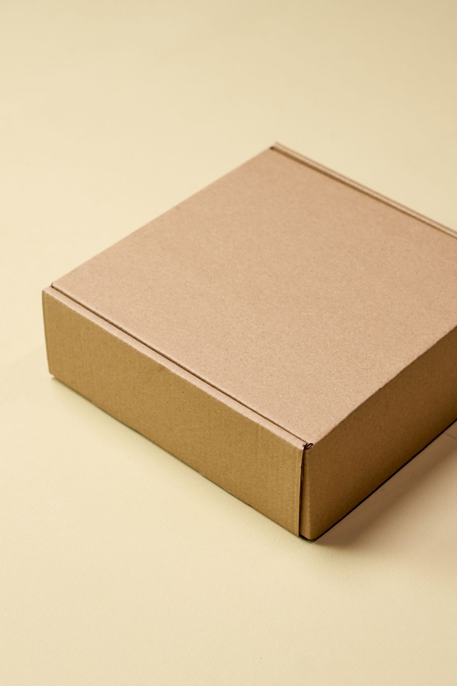 Envío en caja de cartón kraft
